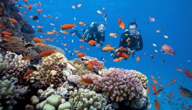 Snorkeling in Phu Quoc Island